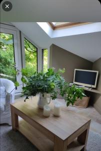 B&B / Chambres d'hotes Maison des Bois : photos des chambres