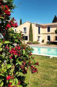 Villas Le Mas Lolivo : photos des chambres