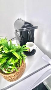 Hotels capsule L-alliance de Sologne : photos des chambres