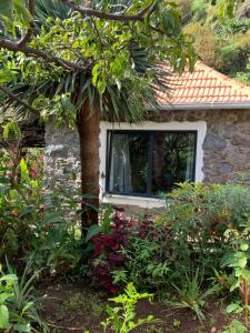 Pico Paraiso Madeira