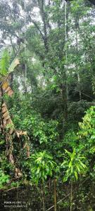 RECANTO DAS PEDRAS Paraty