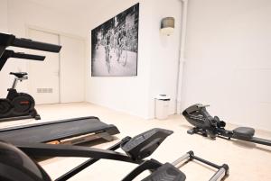 Bardot, luxury apartment with swimming pool and sauna near the beach in Badhuis Cadzand