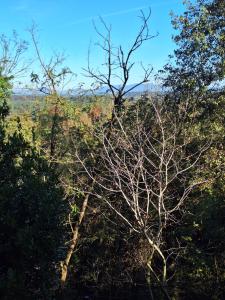 The One Malpensa Rooms