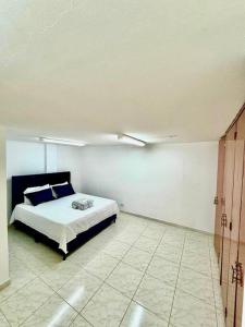 Hermoso y nuevo Apartaestudio CircunvalarArboleda