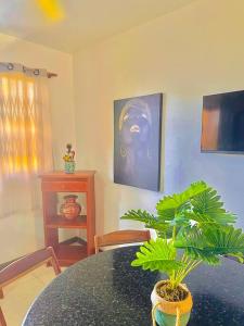 Casa à beira mar na Praia do Flamengo