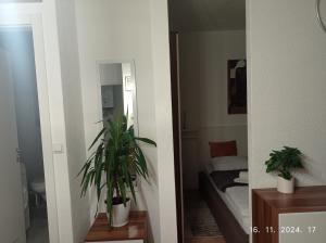 Studio Apartman Dalma
