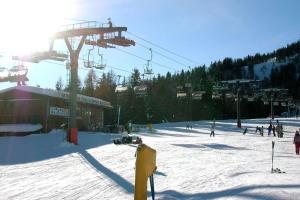 Appartamento Val Di Sole