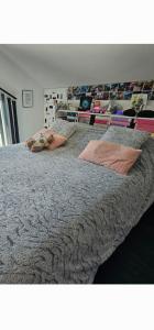 Villas Le treizieme ciel ! : photos des chambres