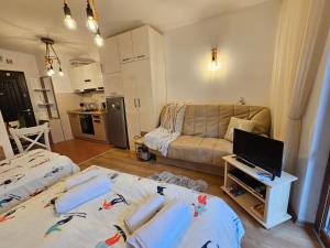 Cozy Studio in Semiramida Gardens - Borovets Hills 39