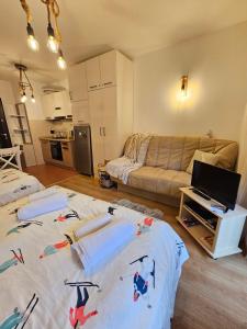 Cozy Studio in Semiramida Gardens - Borovets Hills 39