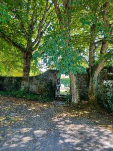 Maisons de vacances Le domaine de Kerousy : photos des chambres