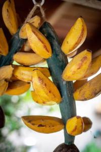 Dez minutos caminhando até o Centro Histórico