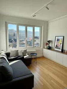 Charmant T2 lumineux avec vue - Châtillon-en-Michaille