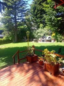 Cabaña en el bosque