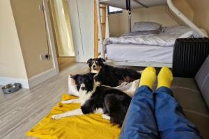 Machaire Rabhartaigh Glamping