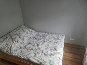 Apartament mieszkanie do wynajęcia Justyna