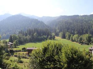 Appartement cosy près des pistes avec garage, WIFI, terrasse - La Clusaz - FR-1-459-234