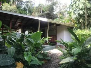 Dreamy oasis minutes from beach - 蓬塔乌巴