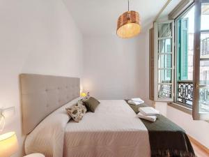 Lovely apartment in the Historical Center