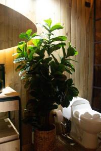 Ojo de Agua Cabañas en Guatapé