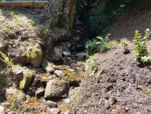 Chalets Chalet Vosges La Bresse : photos des chambres