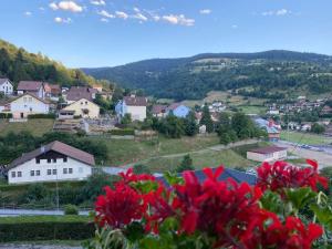 Chalets Chalet Vosges La Bresse : photos des chambres