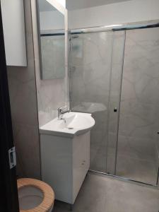 Central, Victoriei, Sanador, Titulescu, brand new, 2camere