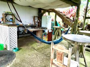 Jungle Jorges Casita