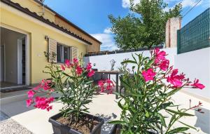 Nice Home In Ripenda Kras, Labin