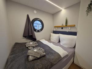 Hausboot Fjord Cirrus Solarboot mit Biosauna in Wendtorf