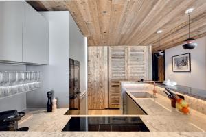 Antarès MIRA 102 - luxury apartment ski inski out