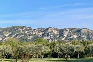 Maisons de vacances House with swimming pool and breathtaking views of the Luberon : photos des chambres