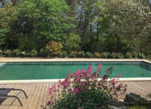 B&B / Chambres d'hotes Mas du Loriot : photos des chambres