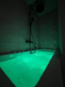 ESCAPADE Sereine - Studio Balnéo à Laval