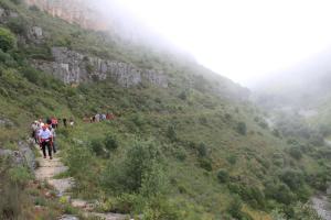 Quinta de São João