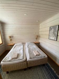 Hirsihuvila Kolilla, Villa Lumme