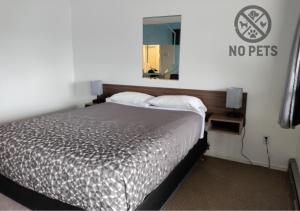 Queen Room room in Eight Bar B Motel