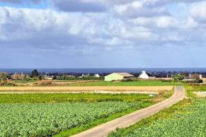 Maisons de vacances Holiday Home in Brittany with Sea View : photos des chambres