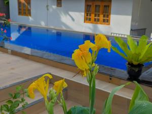 Y Villa Residencies Galle