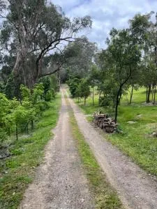 Spacious 4 bed, 2 lounge, 2 bath, Acre home with tree top views - Yarra Valley Gateway! - Watsons Creek