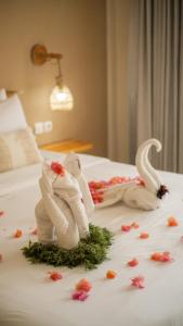 Nucifera Kuta Lombok