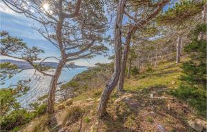 Gorgeous Apartment In Novalja