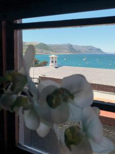 Eccentric Heritage Paradise Simons Town