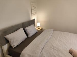 Fronties calm lake home