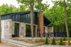 Zen Villas - Sijarinska Banja