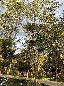 Refúgio da Natureza FAZENDA