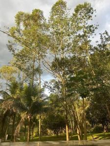 Refúgio da Natureza FAZENDA