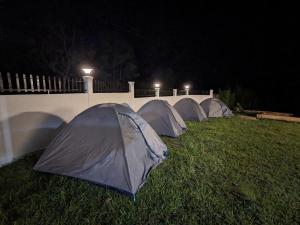 ROYALTY GLOBAL HOMESTAY