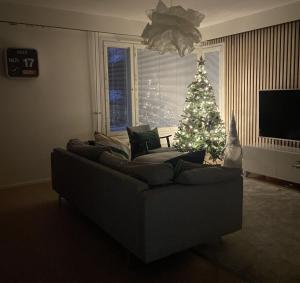 Spacious Family Home with sauna & Free parking near SCV