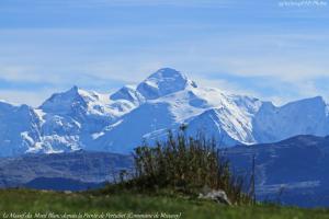 Chalets L'echappee Belle en Montagne - site location-chalet : photos des chambres
